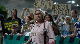 Demonstrators participate in a protest against fossil fuels at the COP30 U.N. Climate Summit, Wednesday, Nov. 12, 2025, in Belem, Brazil. (AP Photo/Fernando Llano)