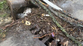 Storm drain in a residential neighborhood near 1st & Meinecke (Harambee neighborhood). The drain on the street plugged with old leaves, broken tree branches and other debris.
