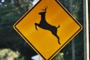 Deer crossing sign