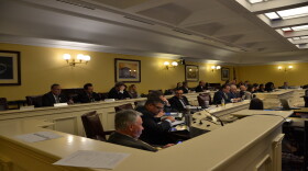 Members of the House Finance Committee hear testimony during an informal hearing on Gov. Mike DeWine's budget.