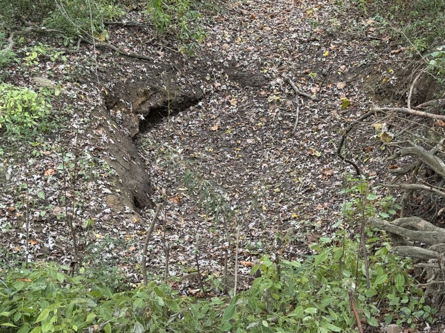 The largest erosion point that developed at the levee, according to Ptacek