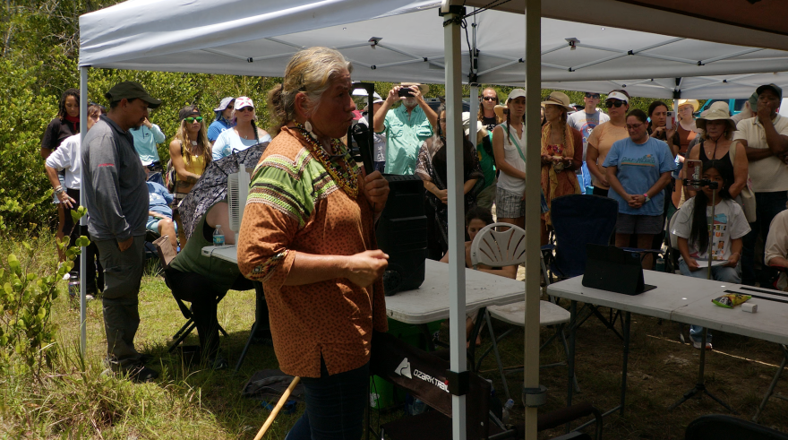 Miccosukee tribal member and environmentalist Betty Osceola lead a prayer gathering Saturday across Tamiami Trail from Alligator Alcatraz, a hastily put together immigrant detention camp in the heart of the Big Cypress National Preserve.
