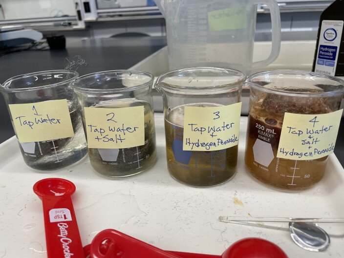 Teachers will learn experiments like this one, which shows how things rust.