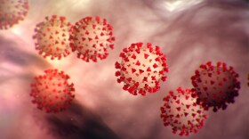 There are now confirmed cases of the coronavirus in both Kansas and Missouri. Health experts expect more cases to be diagnosed around the Kansas City region in the coming days and weeks.