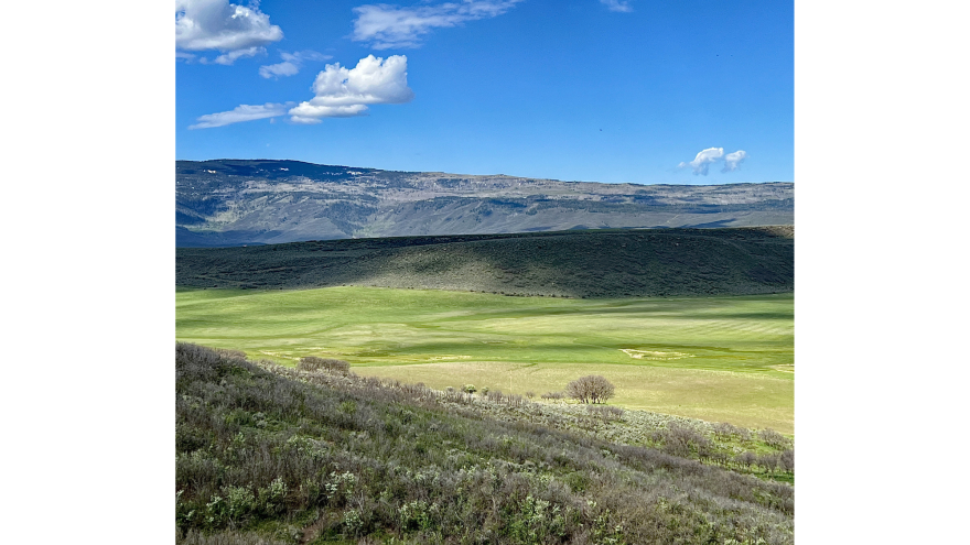 The Spring Valley Ranch proposed Planned Unit Development application was withdrawn by Spring Valley Holdings LLC, on Oct. 27.