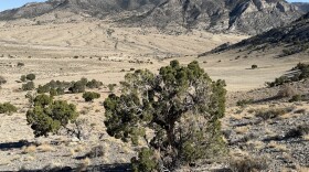 High desert landscape of Pine Valley, Utah, with sagebrush, open terrain and mountain ridges in the distance.