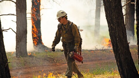 The Flagstaff Hotshots conduct firing operations on June 6, 2023, on a portion of the Crater Sinks prescribed fire project, located on the Flagstaff Ranger District of the Coconino National Forest.