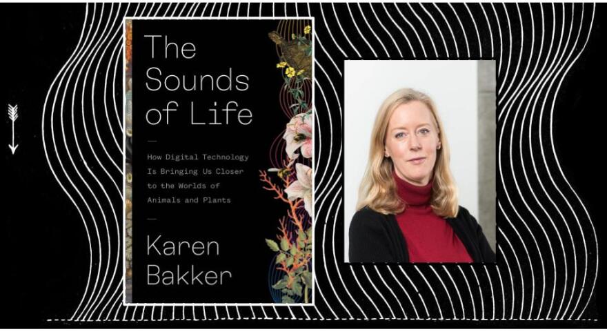 The Sounds of Life: How Digital Technology Is Bringing Us Closer to the Worlds of Animals and Plants
Karen Bakker