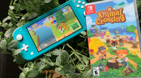 A Nintendo Switch Lite and copy of Animal Crossing: New Horizons