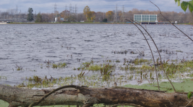 A view of Morrow Lake with a log and duckweed in the foreground and the glassy modern dam in the background.