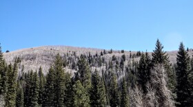 Looking up at Stoner Mesa from the West Dolores Campground, where a wildfire burned across parts of the mesa last year.