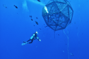 A diver approaches a floating pen full of fish