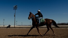 A horseman rides by during a practice on Thursday, March 6, 2025, at Fairmount Park in Collinsville.