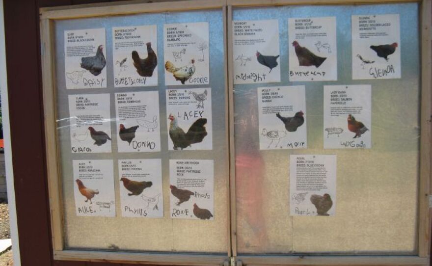 The chickens’ breed and names are displayed outside the coop.