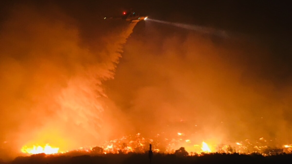 We've had the most rainfall in years in the Tri-Counties. Is it good or bad for our wildfire outlook? - Vimarsana News