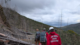 Search and Rescue volunteers had to clear the road of downed trees and debris to recover Naughton's body.