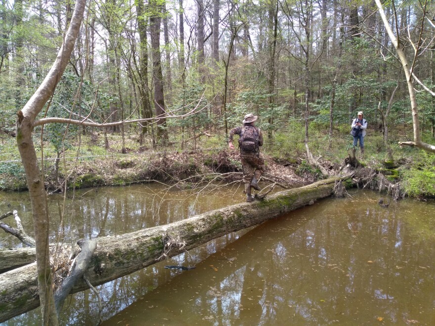 scientists in the field .jpg