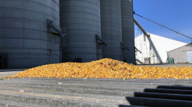 The market price will be largely dependent on how this year's crop grows. Because it was planted late, there is great uncertainty on the yields that it will produce.