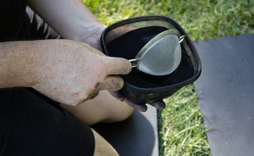 Hembrey dips his sifter into a charcoal soil supplement.