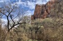 Zion National Park and other crown jewels of the country's public lands system offer a respite during the COVID-19 pandemic. But getting there can lead to new cases of the novel coronavirus in rural towns that are unprepared to handle a surge in patients.