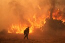 FILE - A firefighter battles the Canyon Fire on Aug. 7, 2025, in Hasley Canyon, Calif. (AP Photo/Marcio Jose Sanchez, File)