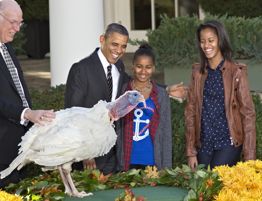 President Obama, with daughters Sasha, center, and Malia, right, pardons the turkey, "Cobbler" at the White House in Washington on Wednesday.