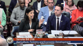 Amy Martin, an attorney and medical marijuana dispensary owner, displays a container of cannabis edibles alongside Sen. Tyler Dees, R-Siloam Springs, in a meeting of the Senate Agriculture, Forestry and Economic Development committee on Tuesday.