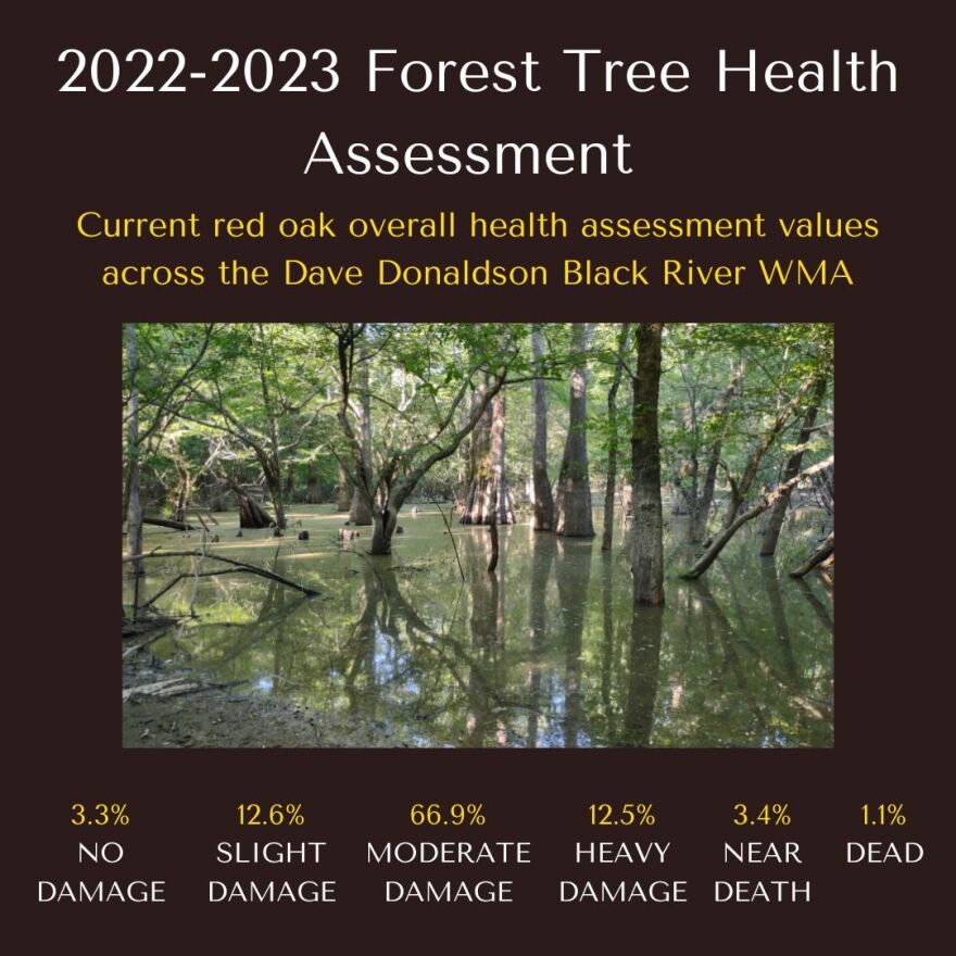 Forest health assessments conducted in 2022-2023 shows a majority of trees in the "moderate damage" category across the Dave Donaldson Black River WMA.