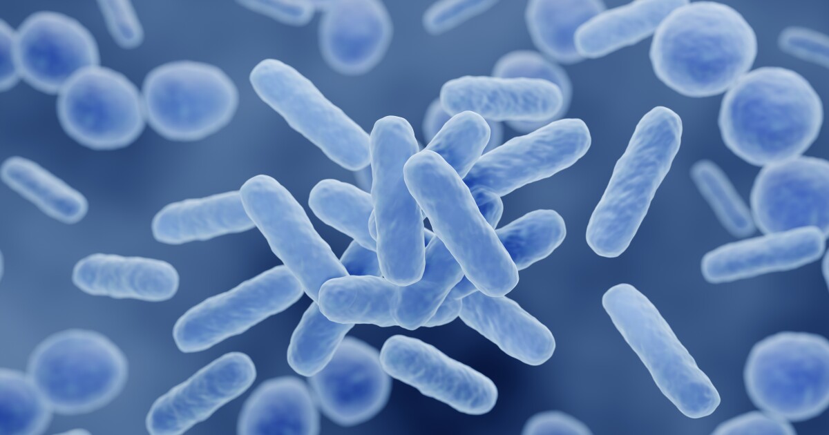 Health officials issue water quality advisory for Roosevelt Bridge