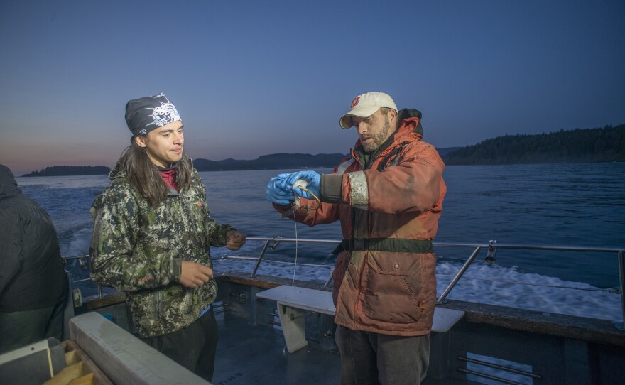 Joshua Monette (L) and Jonathan Scordino (R) bait a cibud hook at dawn off the Olympic Peninsula in 2015.