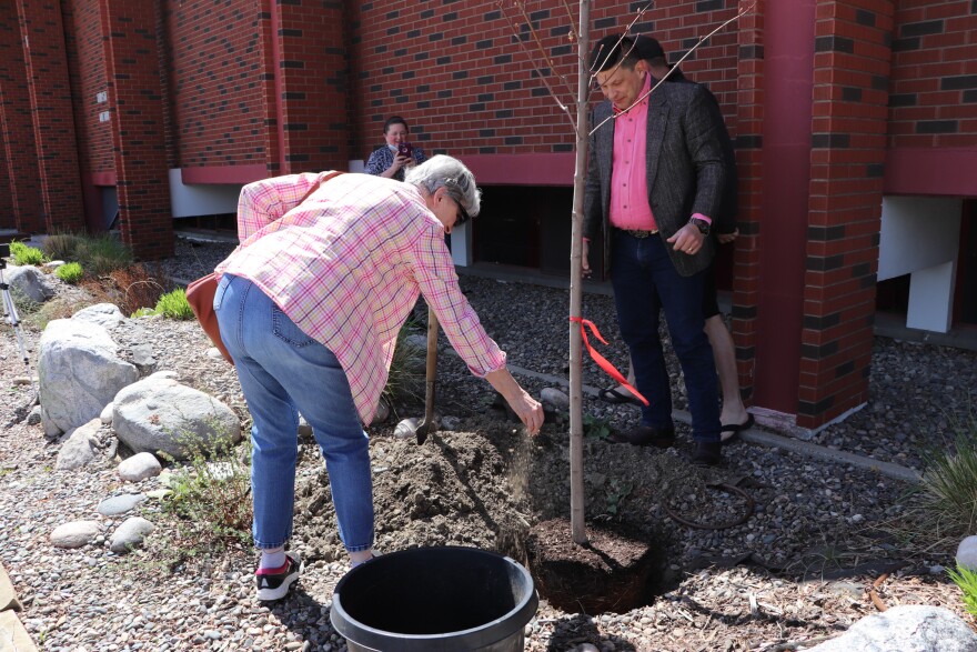 Reverend Patrick Lewis watches a member of his congregation fill the hole for the memorial tree with soil.