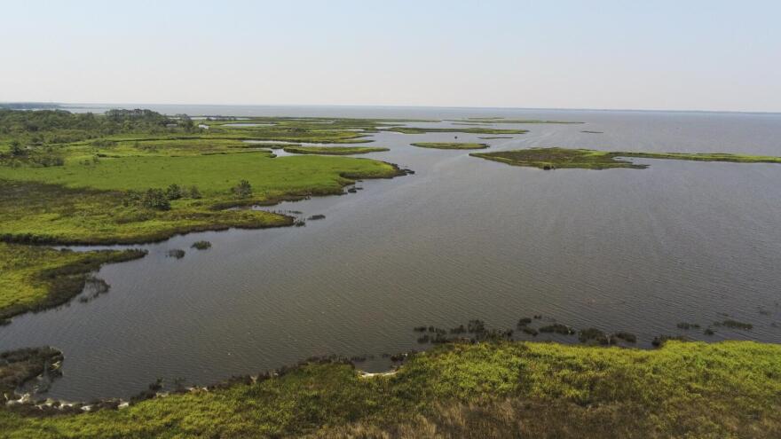 Pine Island marshes in Currituck Sound
