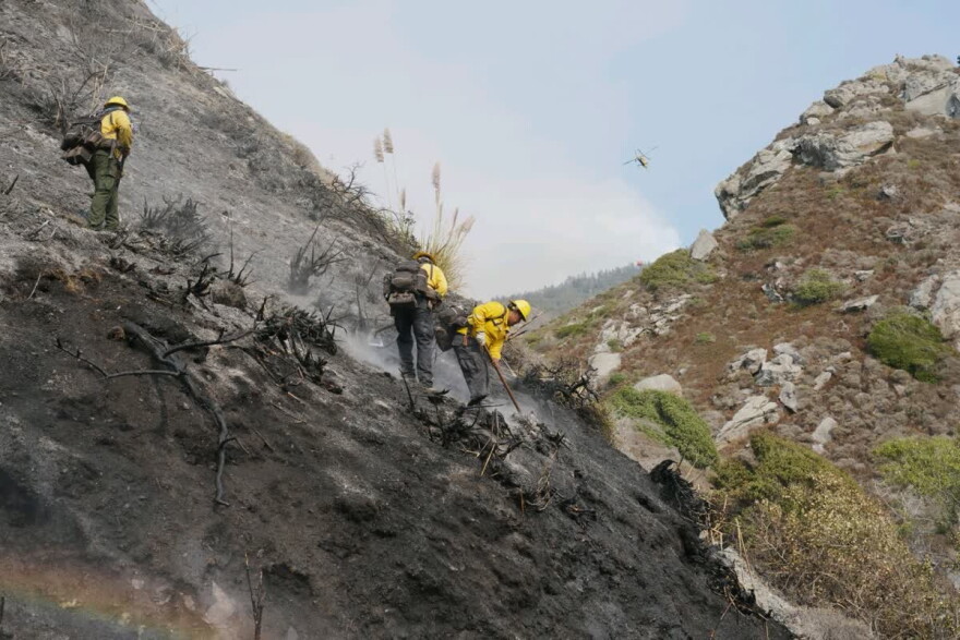 Fire crews fighting the Big Sur Plaskett Fire are working in some areas that haven't experienced fire in over half a century.