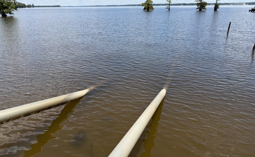 Pipes that are part of Norman Perry's irrigation system stretch about 120 feet into the Chowan River on Wednesday, June 24, 2026. The irrigation system is used to water about a quarter of Perry's farm. Because of recent drought conditions, the river has been too salty.