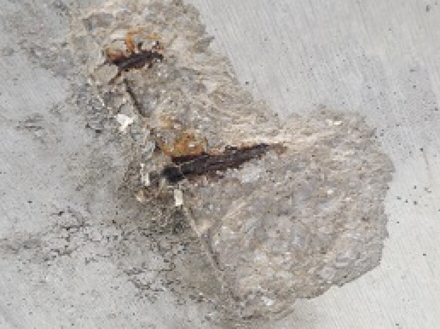 cracked_concrete_2_0.jpg