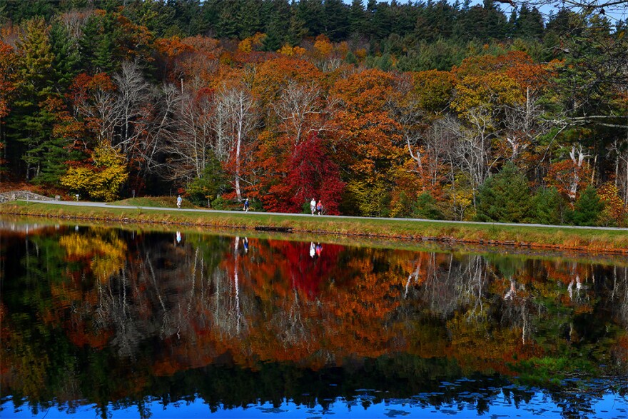 A quiet late afternoon walk along the Bass Lake walking trail brings out the majesty of fall as its reflected in the still waters of the lake in Blowing Rock, N.C. Thursday, October 22, 2020.