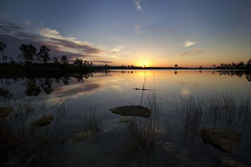 A view of Everglades water at sunset