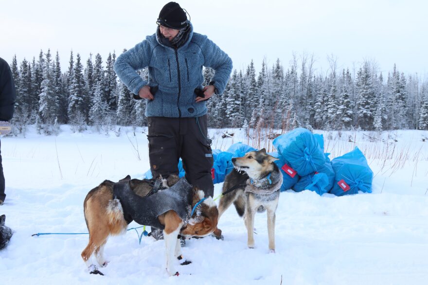 Musher Mille Porsild shortly after arriving in Nikolai, a checkpoint in the Iditarod Trail Sled Dog Race on Tuesday, March 5, 2024.