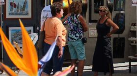 Bird of Paradise provides colorful backdrop for Naples Downtown Art Fair