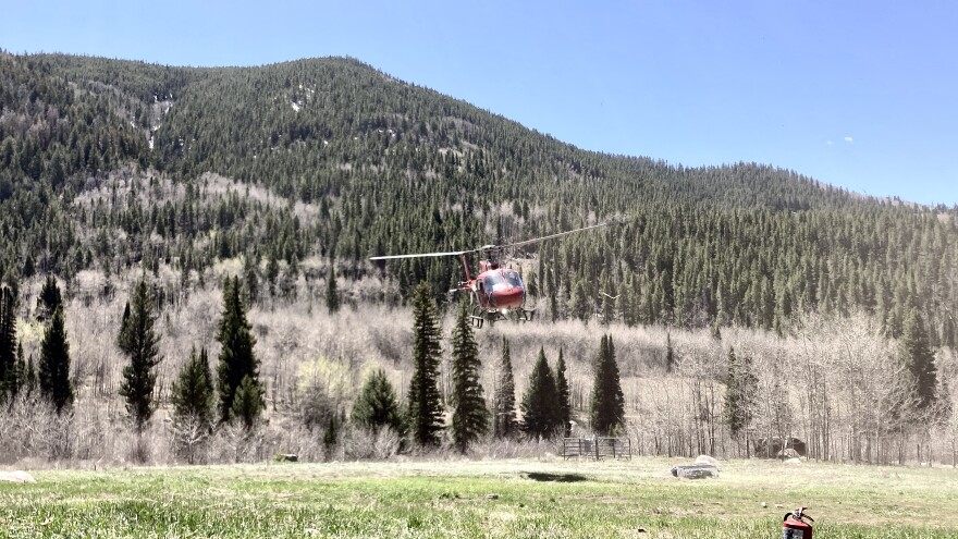 A helicopter takes off to assist firefighters during the prescribed burn near the Upper Hunter Creek Trailhead on May 13.