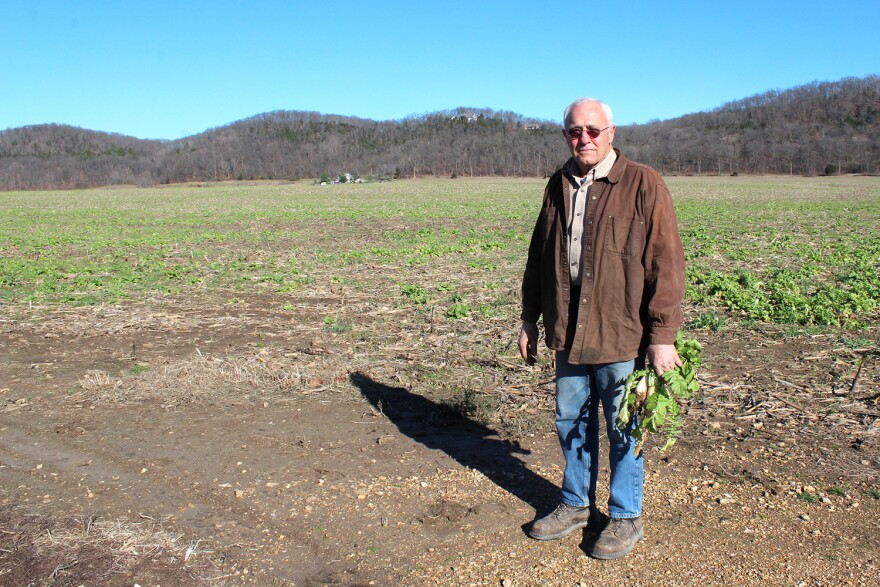 Ed Heisel grows corn and soybeans in Franklin County. This past season's corn field has been planted with daikon radishes as a cover crop for the winter.