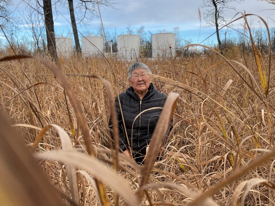 Yup’ik elder Helen Ivan stands in a meadow in Akiak.