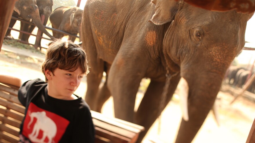 Jack, 11, lives in Bangkok and spends a lot of his time at an elephant sanctuary. If you have a headache, he says, put your head against an elephant and "within seconds, your headache just goes away."
