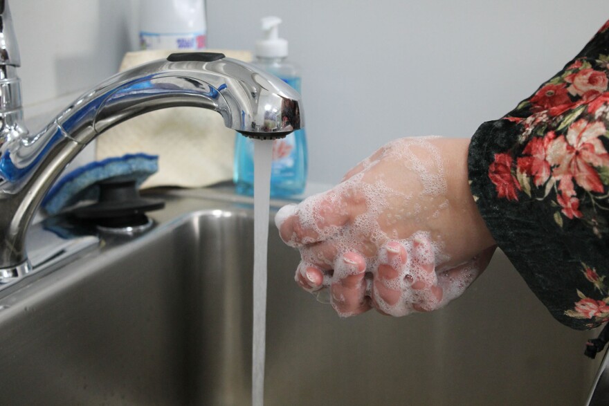One expert said people can try to avoid getting sick by practicing food safety, cleaning surfaces with effective disinfectants like bleach, and properly washing their hands.
