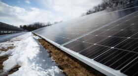 Panels at the state's only shared solar array in Bloomfield, pictured last year.