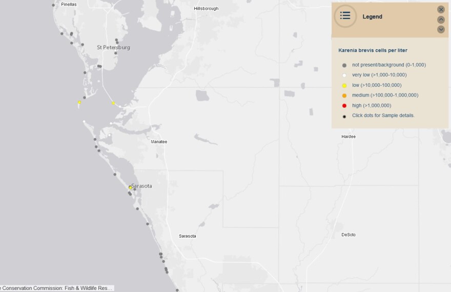 Red tide continues to recede off the Gulf beaches WUSF