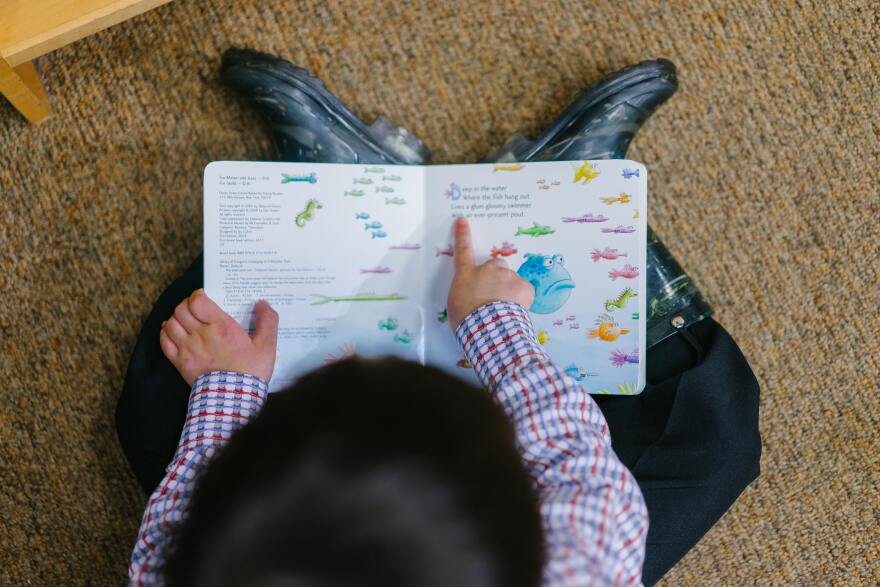 Photo of a boy reading a book