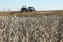 A truck drives on top of a levee past a soybean field.