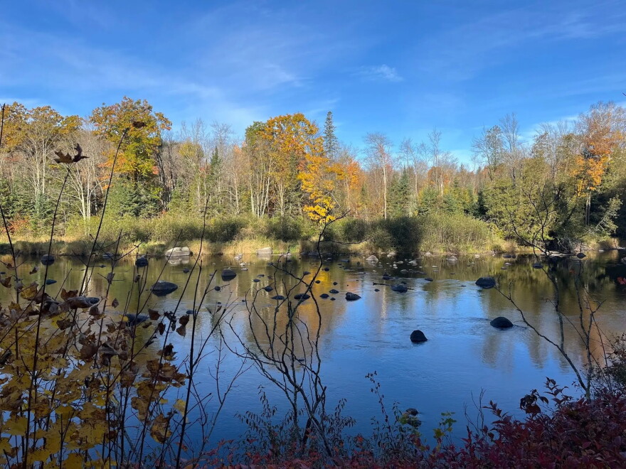 Her last day in the Northwoods was spent along the wolf river as she headed towards the Nicolet State Trails.