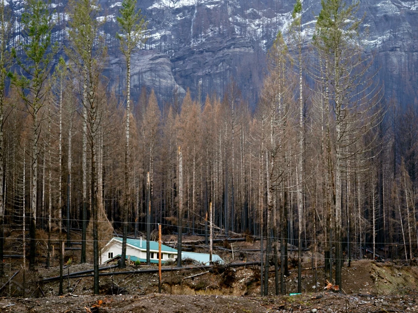 Mary Bradshaw's fire-hardened home in Elkhorn, Oregon, on Feb. 26, 2021. It was one of few that survived the Beachie Creek fire in the area.